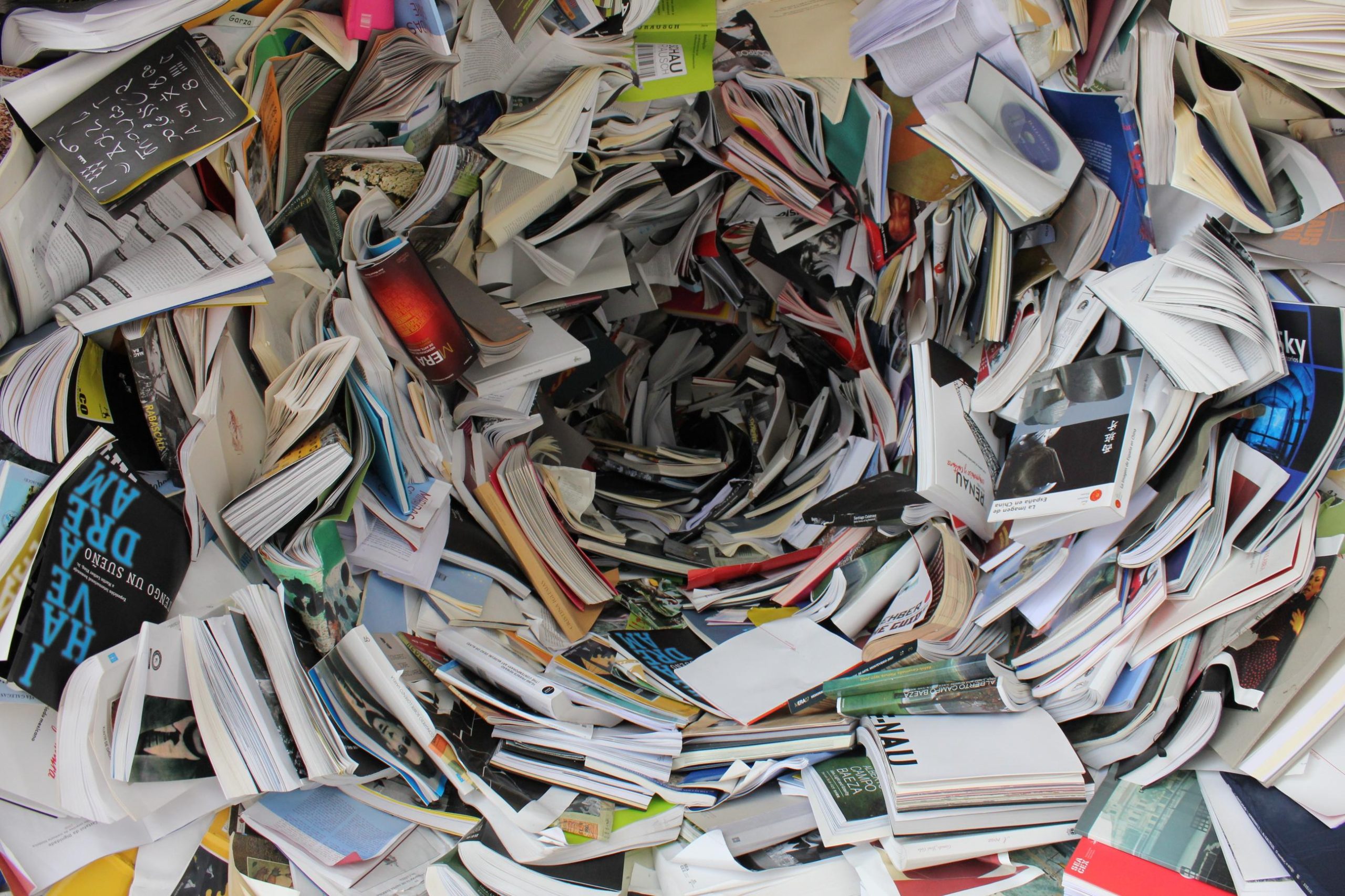 The Hunt for Mastery: Top Economics Tutor